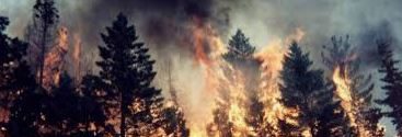 Stato di massima pericolosità per incendi boschivi.